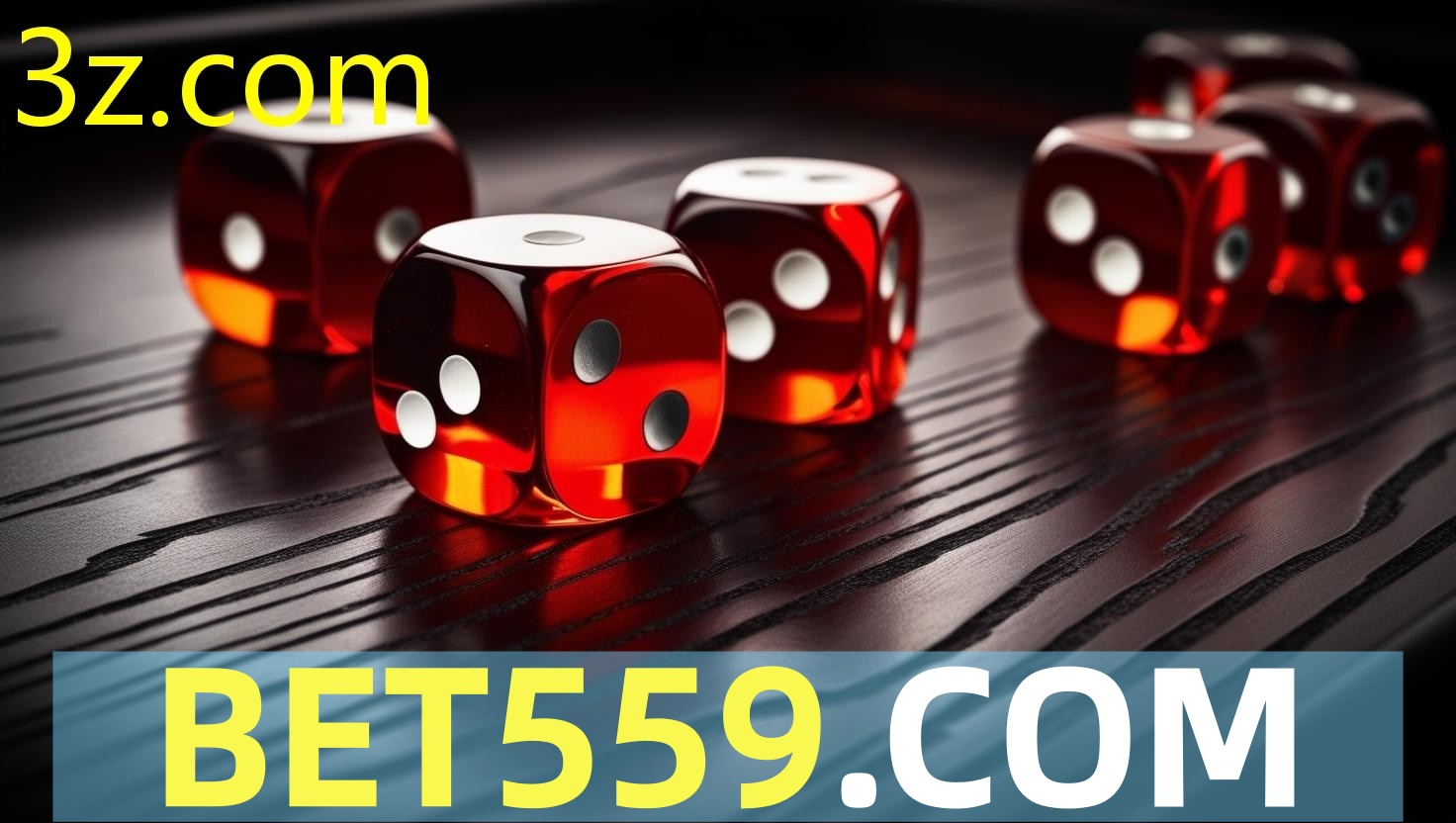 bet559